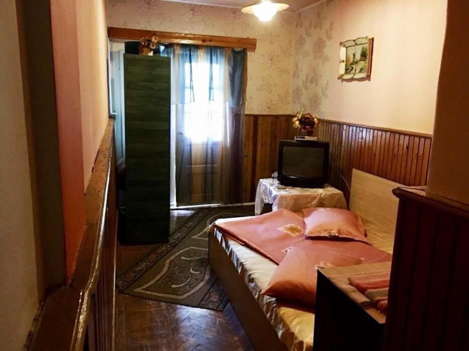 Motel Hanul Balota Дробета-Турну-Северин Экстерьер фото